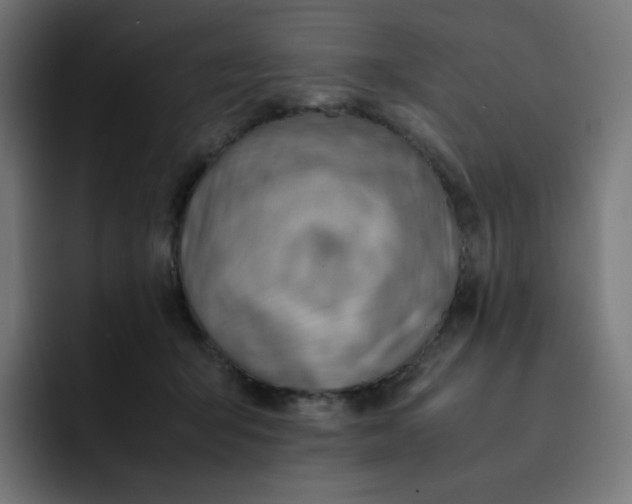 X0000093150415200710101139