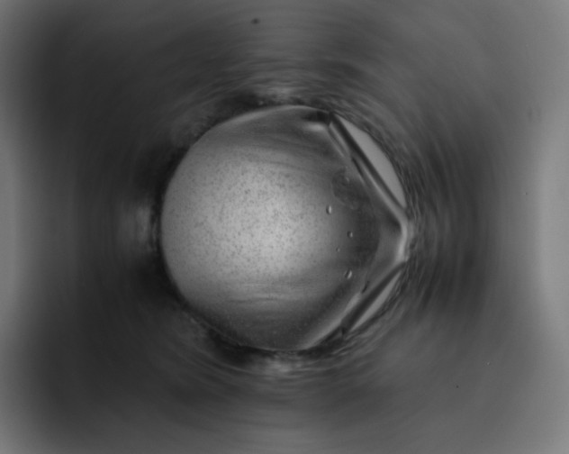 X0000093150420200710101139