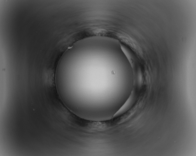 X0000093150421200710101139