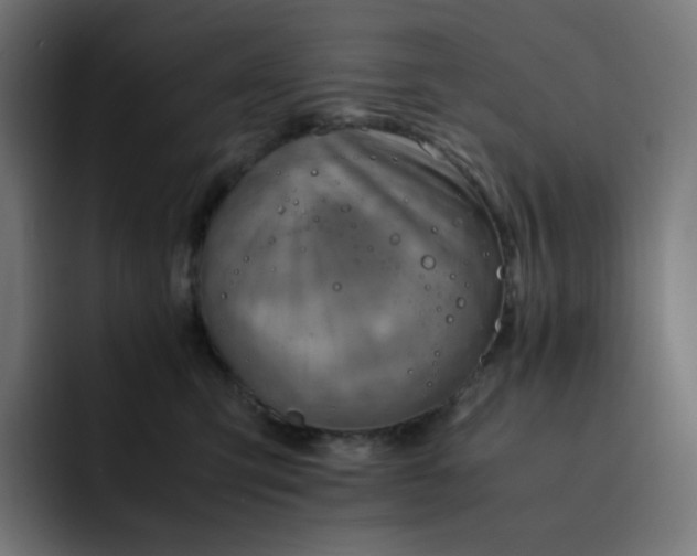 X0000093150423200710101139