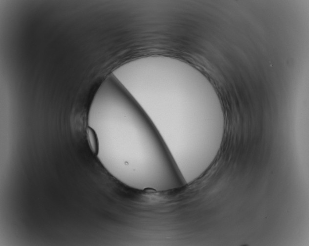 X0000093150425200710101139