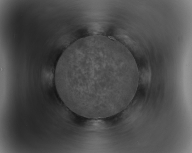 X0000093150427200710101139