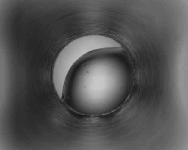 X0000093150428200710101139