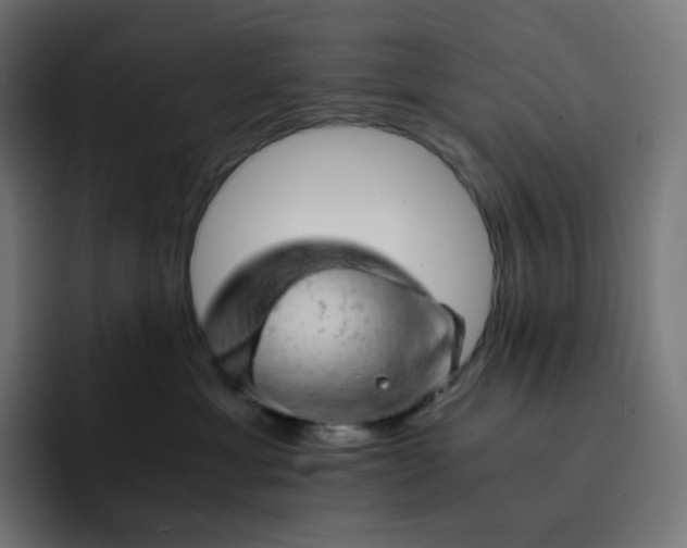 X0000093150429200710101139