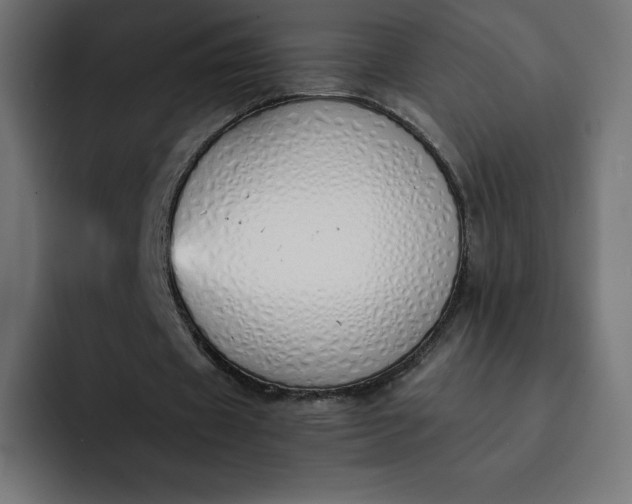 X0000093150433200710101138
