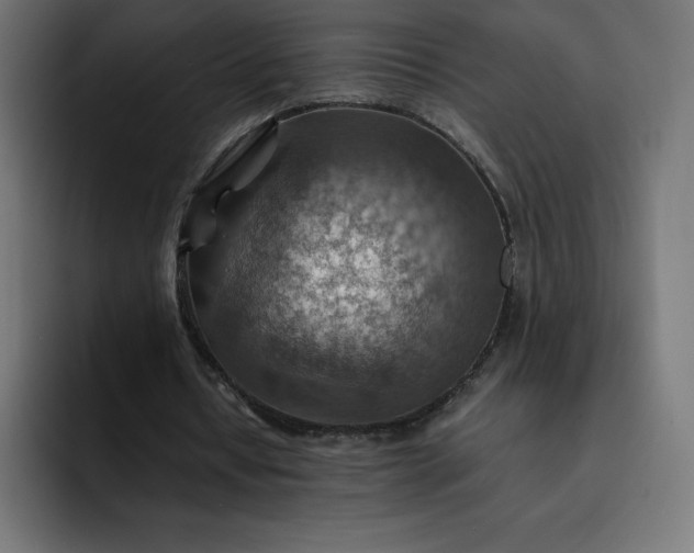 X0000093150434200710101138