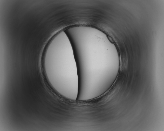 X0000093150435200710101138