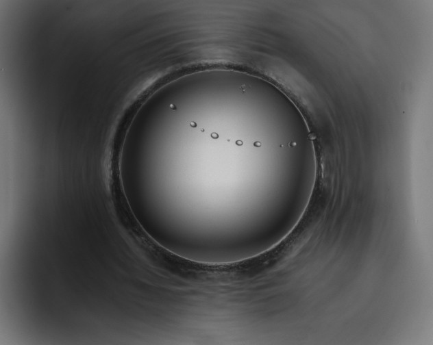 X0000093150436200710101138