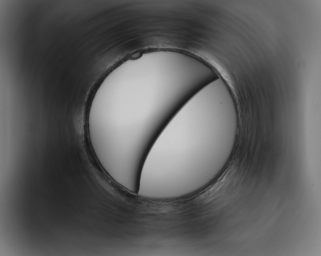 X0000093150437200710101138