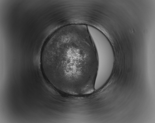 X0000093150438200710101138