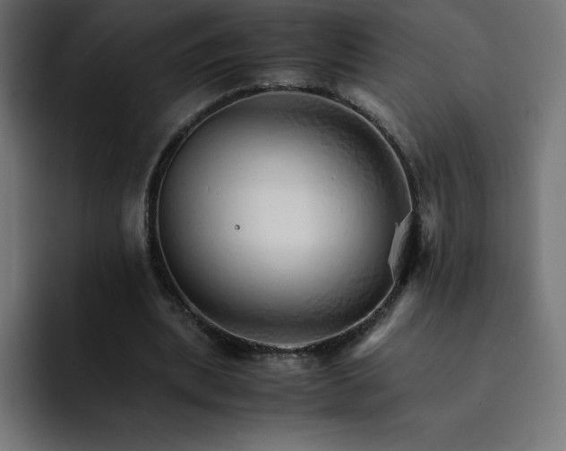 X0000093150439200710101139