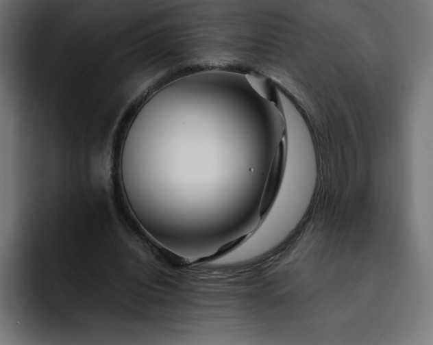 X0000093150440200710101139