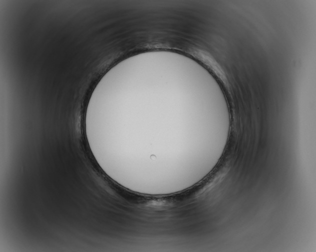 X0000093150441200710101139