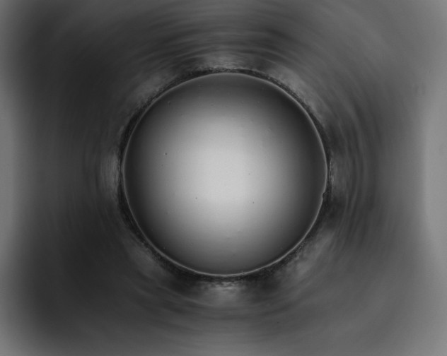 X0000093150445200710101139