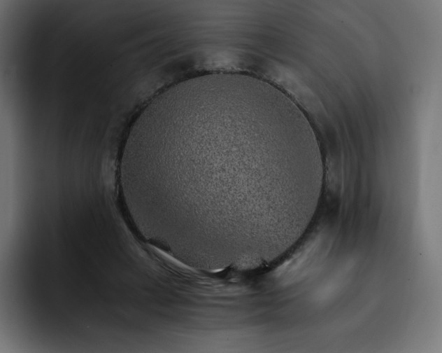 X0000093150449200710101139