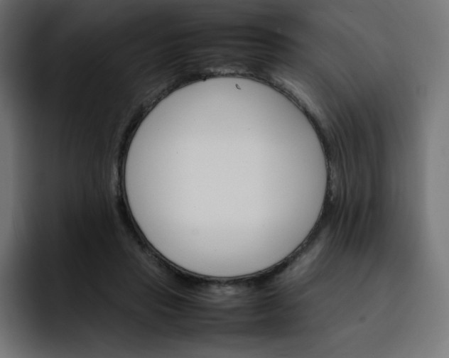 X0000093150453200710101139