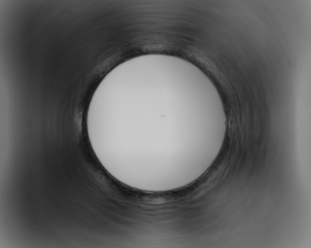 X0000093150454200710101139