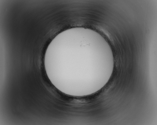 X0000093150455200710101139