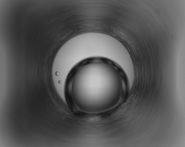 X0000093150456200710101139