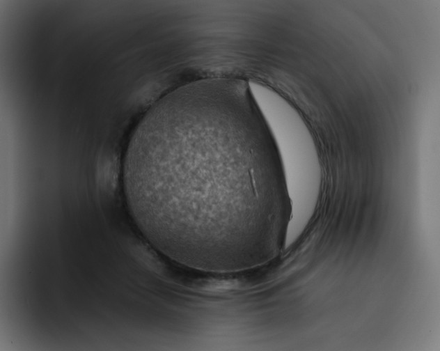 X0000093150458200710101139