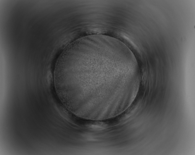 X0000093150459200710101139