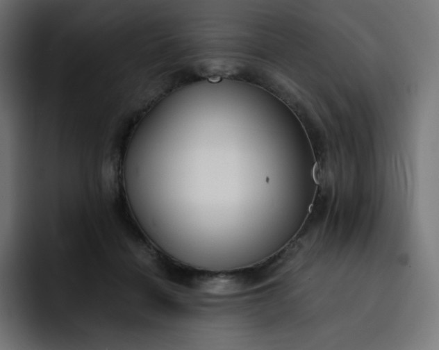 X0000093150460200710101139