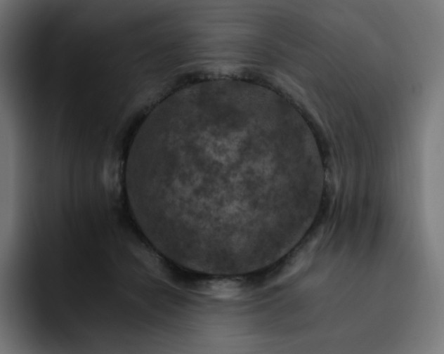 X0000093150462200710101139