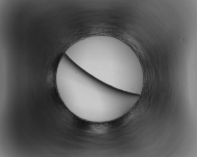 X0000093150465200710101139