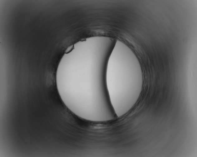 X0000093150467200710101139