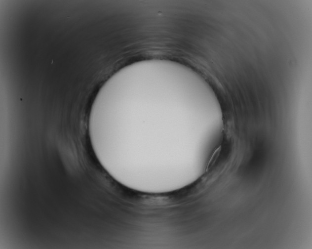 X0000093150476200710101139