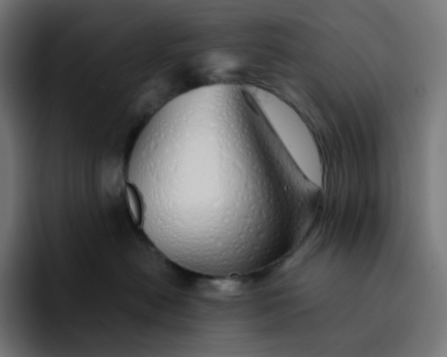 X0000093150478200710101139