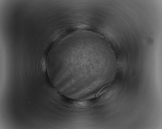 X0000093150479200710101139