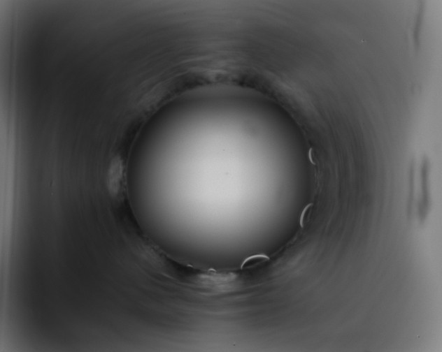 X0000093150480200710101139