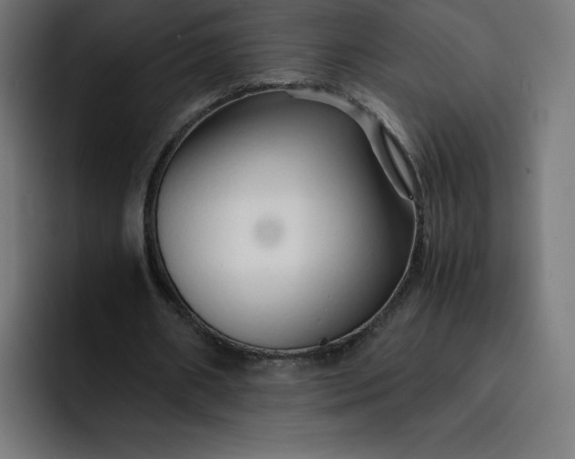 X0000093150482200710101138