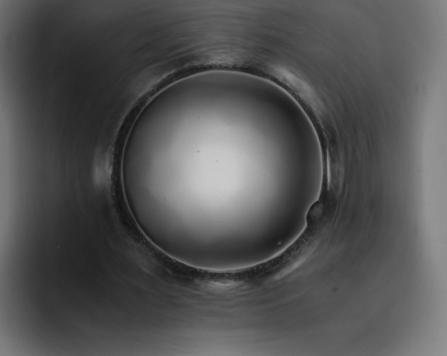 X0000093150483200710101138