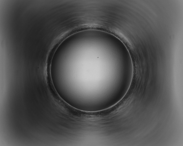 X0000093150486200710101138