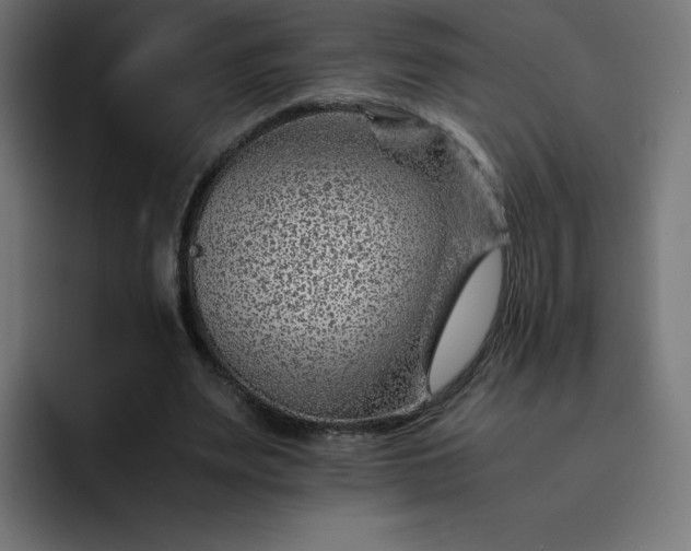X0000093150487200710101138