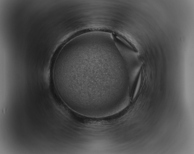 X0000093150488200710101138