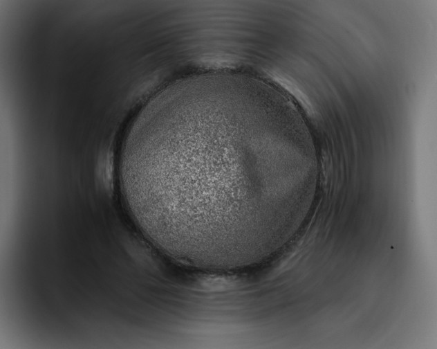 X0000093150494200710101138