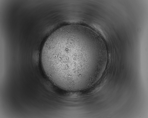X0000093150495200710101138