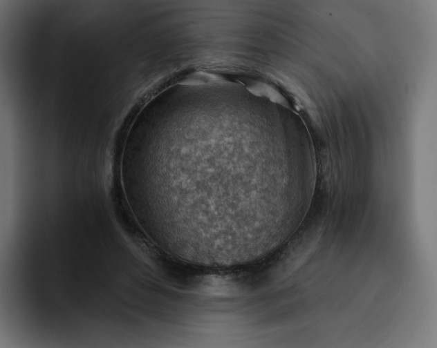 X0000093150496200710101138