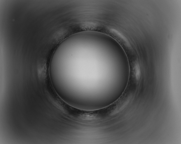 X0000093150498200710101138