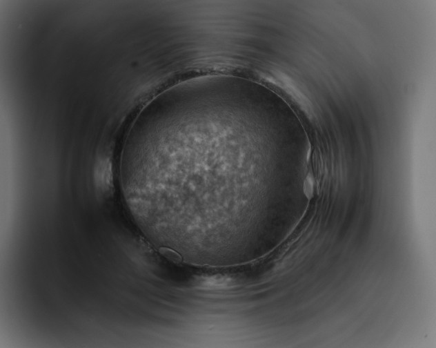 X0000093150500200710101138