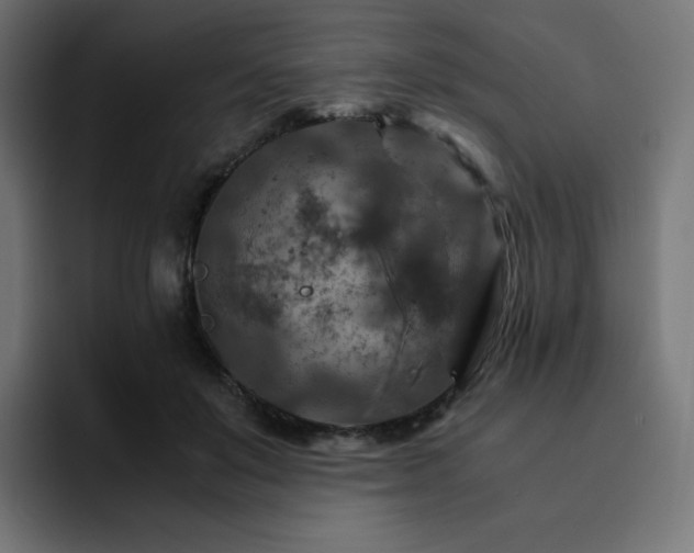 X0000093150503200710101138