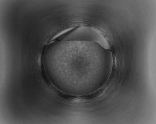 X0000093150504200710101138