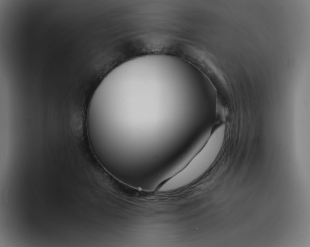 X0000093150505200710101138