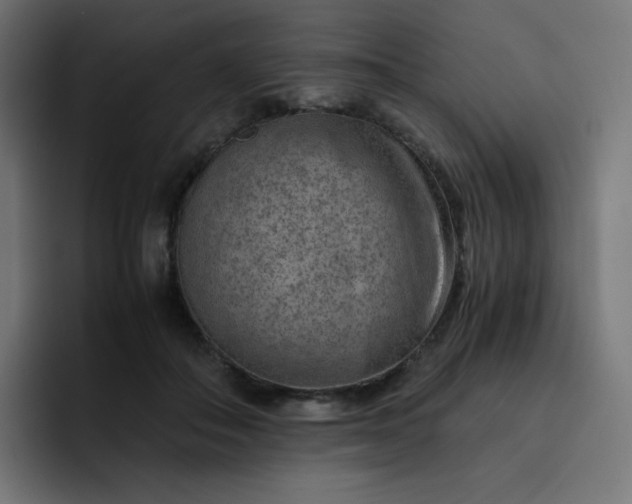 X0000093150506200710101138