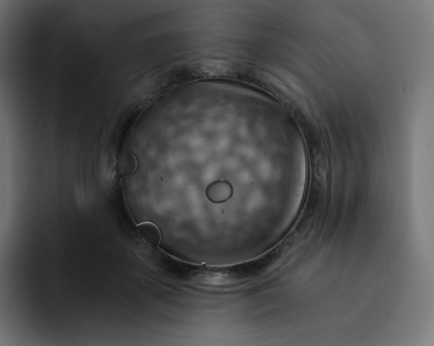 X0000093150507200710101138