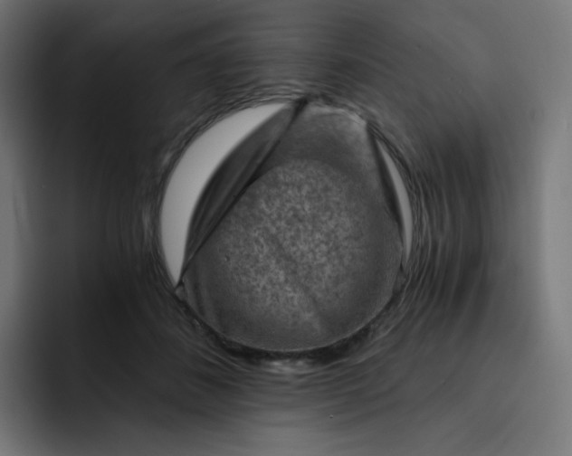 X0000093150508200710101138