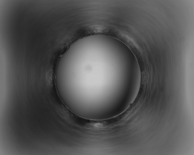 X0000093150509200710101138